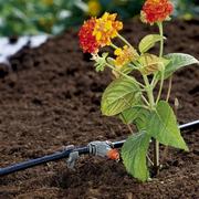 Крапельниця Gardena Micro-Drip-System QE 2 л/год, 10 шт.  (08343-29.000.00)