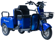 Акумуляторний трицикл Forte CARGO-P800 (синій) (145419)