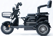 Акумуляторний трицикл Forte Family-P1000 (чорний) (145230)