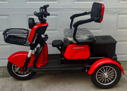 Електроскутер Forte FAMILY MAX, червоний (131054)