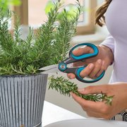 Ножиці для трав і квітів Gardena HerbCut (12214-20)