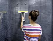 Віконний пилосос Karcher WV 6 Clean Premium (1.633-530.0)