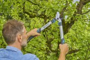 Сучкоріз для зелених гілок до 42 мм Gardena EasyCut 500 B (12002-20)