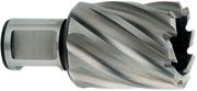 Корончаті свердло Metabo Weldon 19 HSS 13х30 мм (626501000)