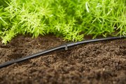 Шланг-дощувач Gardena Micro-Drip-System 15 м, 1.5 л/год (01362-20)