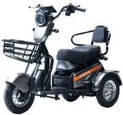 Акумуляторний трицикл Forte S1-P600 (сірий) (145208)