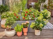 Комплект поливу Gardena Micro-Drip-System Terrace Set на 30 рослин (13400-20.000.00)