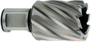 Корончаті свердло Metabo Weldon 19 HSS 21х30 мм (626509000)