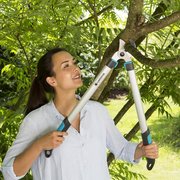 Сучкорез для сухих гілок до 40 мм Gardena EasyCut 680 А (12004-20)