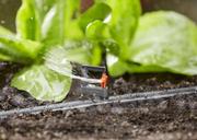 Мікродощувач Gardena Micro-Drip-System круговий, 2 шт (01369-29.000.00-UA)