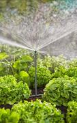 Комплект поливу Gardena Micro-Drip-System (13450-20.000.00)