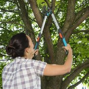 Сучкоріз телескопічний для зелених гілок до 42 мм Gardena TeleCut 520-670 B (12005-20)