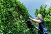 Акумуляторний кущоріз Metabo HS 18 LTX BL 55 (601722850) без АКБ та ЗП