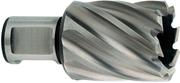 Корончаті свердло Metabo Weldon 19 HSS 15х30 мм (626503000)
