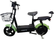 Акумуляторний велоскутер Forte LUCKY-WS500 (зелений) (145065)