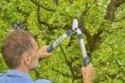 Сучкоріз для зелених гілок до 42 мм Gardena EasyCut 500 B (12002-20)