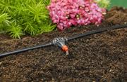 Крапельниця Gardena Micro-Drip-System QE 2 л/год, 10 шт.  (08343-29.000.00)