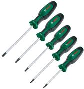 Набір викруток Bosch Torx 5 шт. (1600A02BX6)