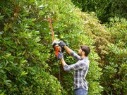 Кущоріз електричний BLACK+DECKER BEHTS401