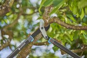 Сучкоріз Gardena EnergyCut Pro L, 50 мм (12051-20.000.00)