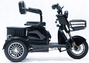 Акумуляторний трицикл Forte Family-P1000 (чорний) (145230)