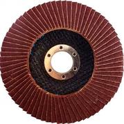 Диск пелюстковий конічній Werk 125х22,2 P40, Т29
