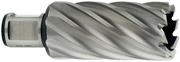 Корончаті свердло Metabo Weldon 19 HSS 31х55 мм (626540000)