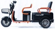 Акумуляторний трицикл Forte CARGO-P800 (чорний) (145418)