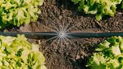 Комплект поливу Gardena Micro-Drip-System (13450-20.000.00)