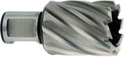 Корончаті свердло Metabo Weldon 19 HSS 29х30 мм (626517000)