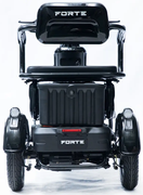 Акумуляторний трицикл Forte Family-P1000 (чорний) (145230)