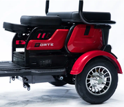 Акумуляторний трицикл Forte Family-P600 (червоний) (145226)