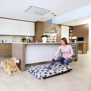 Акумуляторний пилосос Black   Decker DVA325JP07