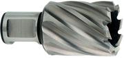 Корончаті свердло Metabo Weldon 19 HSS 31х30 мм (626519000)