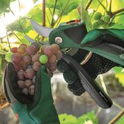 Секатор акумуляторний Bosch EasyPrune (0.600.8B2.102)