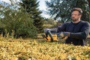 Кущоріз акумуляторний DeWALT DCMHT562P1