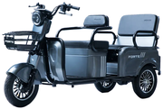 Акумуляторний трицикл Forte CARGO-P800 (сірий) (145420)
