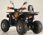 Квадроцикл Forte ATV125P (black-orange) (129954)
