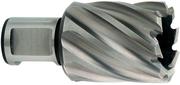 Корончаті свердло Metabo Weldon 19 HSS 22х30 мм (626510000)