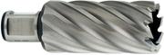 Корончаті свердло Metabo Weldon 19 HSS 32х55 мм (626541000)