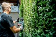 Акумуляторний кущоріз Metabo HS 18 LTX BL 55 (601722850) без АКБ та ЗП