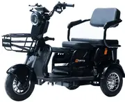Акумуляторний трицикл Forte Family-P600 (чорний) (145224)