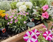 Датчик вологості грунту Gardena (01867-20.000.00)