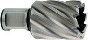 Корончаті свердло Metabo Weldon 19 HSS 23х30 мм (626511000)
