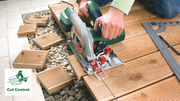 Дискова пилка Bosch PKS 55 A (0603501002)