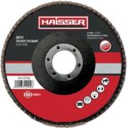 Диск пелюстковий плоский Haisser 125х22,2 P40. Т27