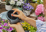Набір для поливу Gardena AquaBloom (13300-20.000.00)