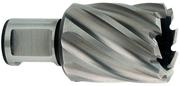 Корончаті свердло Metabo Weldon 19 HSS 14х30 мм (626502000)