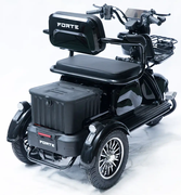 Акумуляторний трицикл Forte Family-P1000 (чорний) (145230)