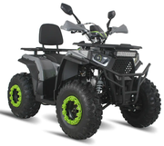 Квадроцикл Forte ATV200G (зелено-сірий) (133190)